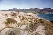 Costa da Luz - Tarifa Beach 